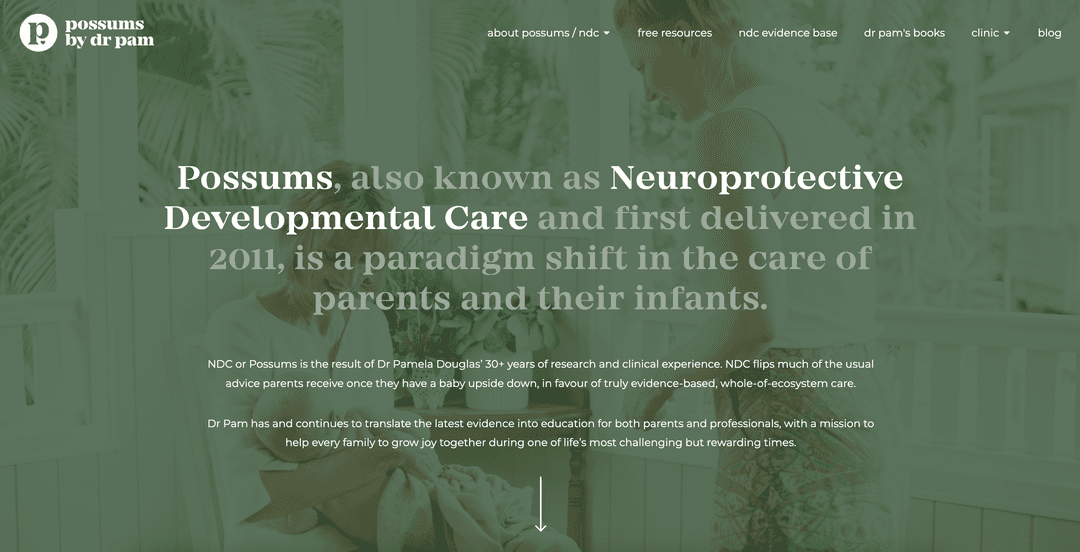 Image of Dr Pam website built by Marisha Deroubaix
