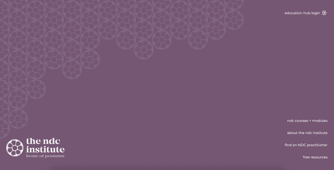 Image of NDC Institute website built by Marisha Deroubaix